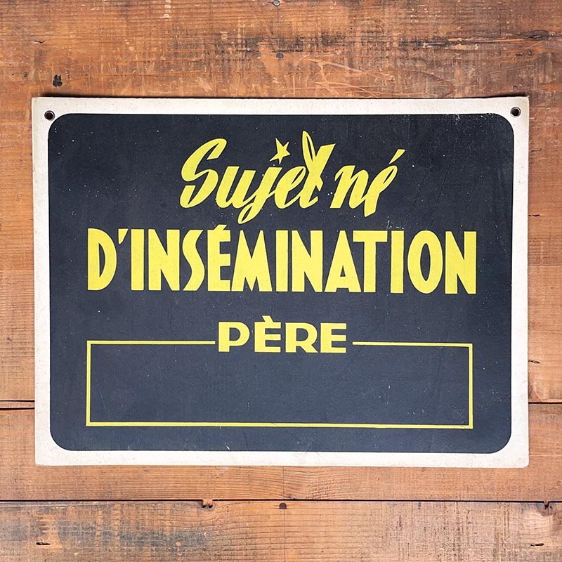 pancarte d'éleveur ancienne carton sujet né d'insémination père 1960 élevage bête vintage
