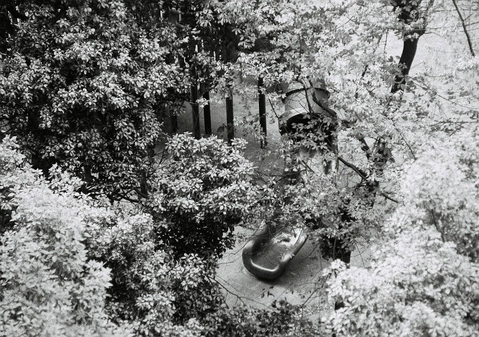 Lomography BW Film 110