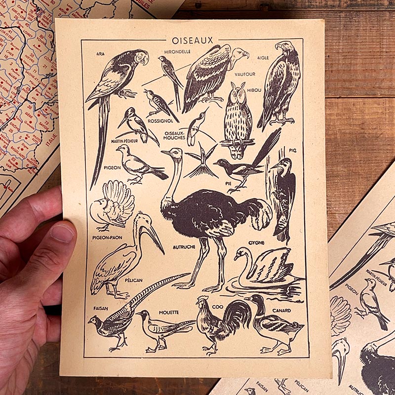 protège cahier ancien illustré couleur semelles talons morvan 1950 1960