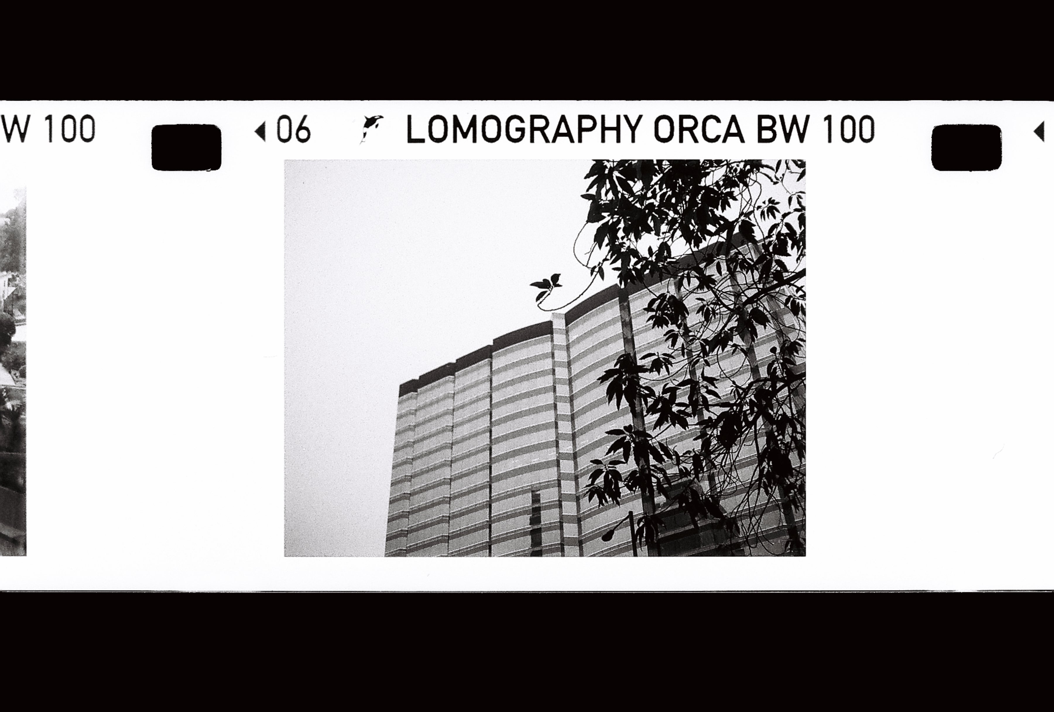 Lomography BW Film 110