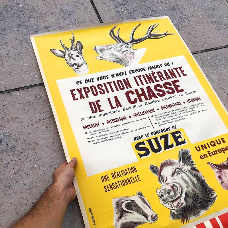 affiche ancienne papier suze apéritif bal musette guinguette fête concert 1950 exposition itinerante de la chasse loup aigle