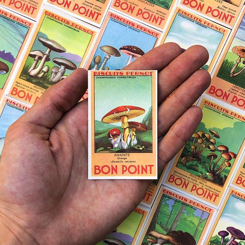bon point biscuits pernot ancien vintage 1940 1950 école écolier champignon illustration