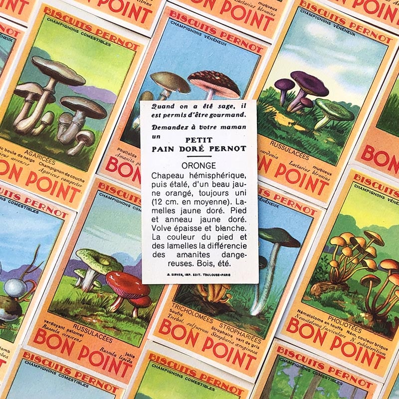 bon point biscuits pernot ancien vintage 1940 1950 école écolier champignon illustration