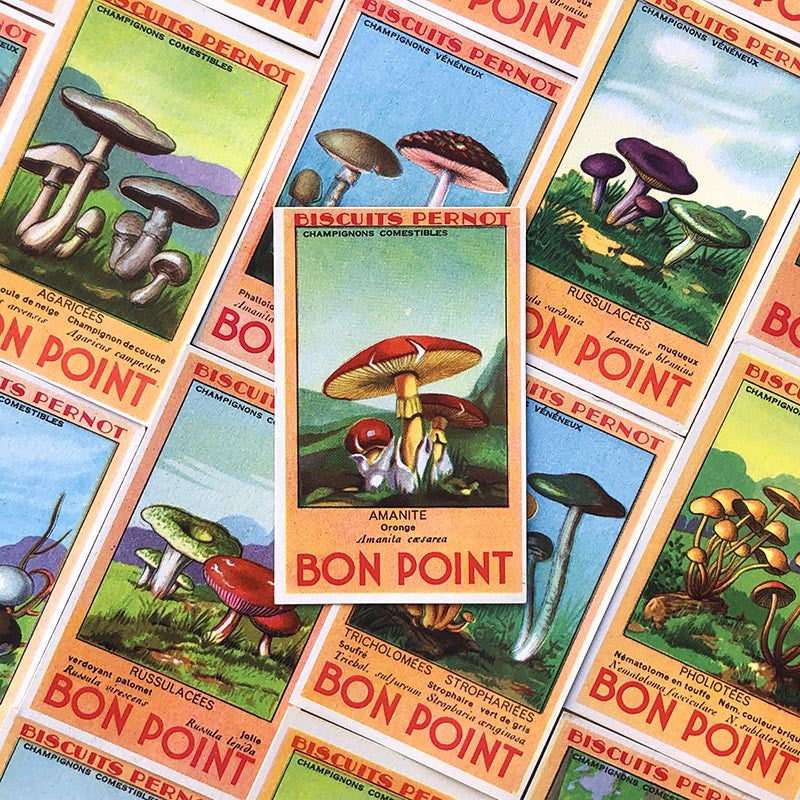 bon point biscuits pernot ancien vintage 1940 1950 école écolier champignon illustration