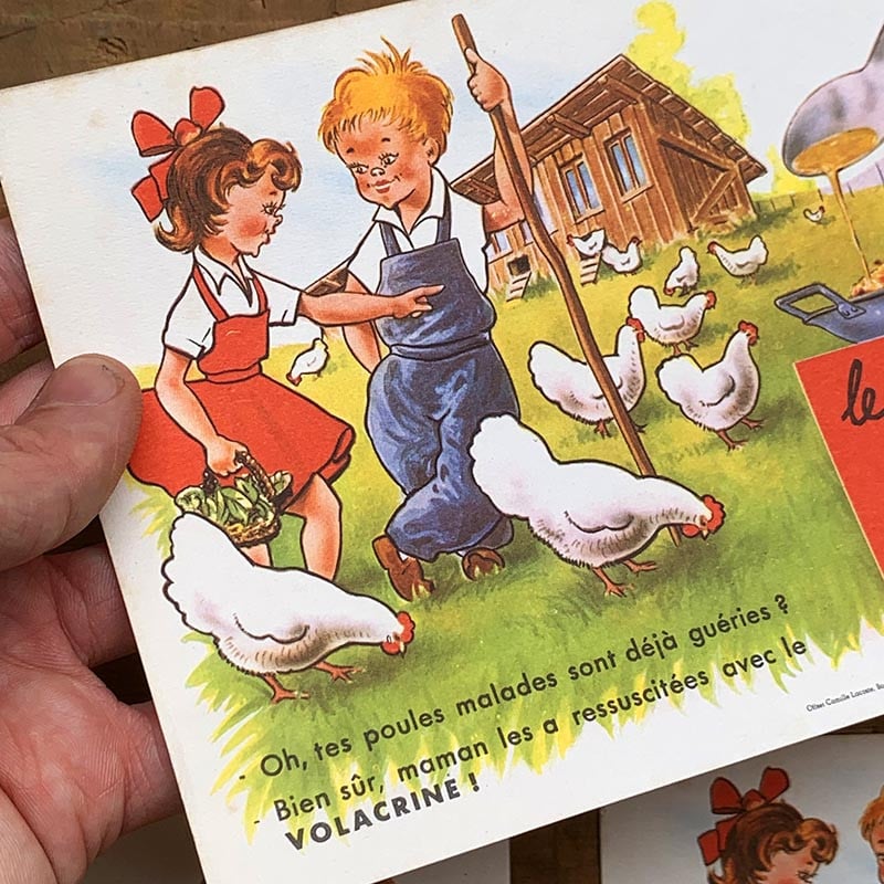 buvard publicitaire ancien vintage volcacrine castagné nourriture volaille poulet illustration 1960 1950