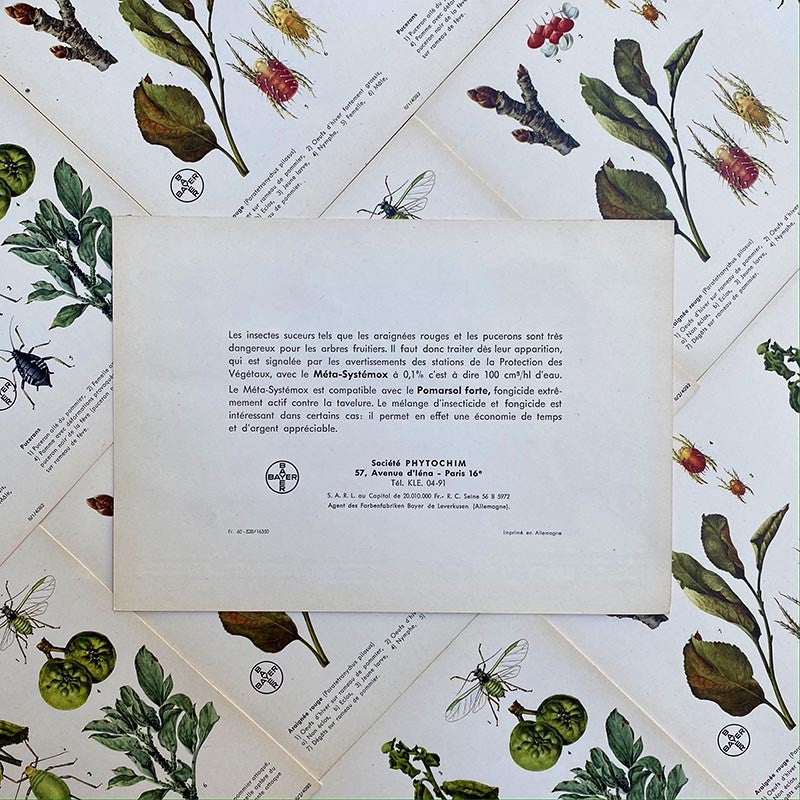 carte éducative pharmacie bayer araignée rouge puceron chimie laboratoire phytochim