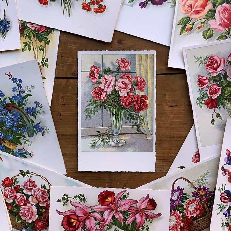 carte postale ancienne vintage photo chromo fleurs chromo fantaisie 1910 1920 1930 couleur CP CPA france