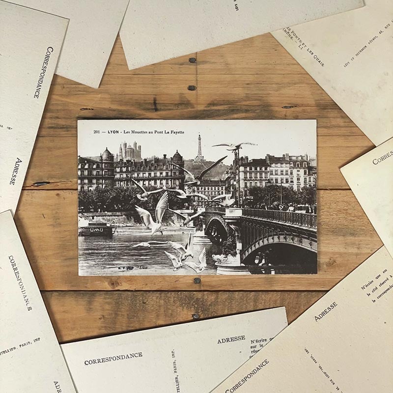 carte postale lyon ancienne lyonnaise noir et blanc 1900 1920 le pont lafayette les mouettes