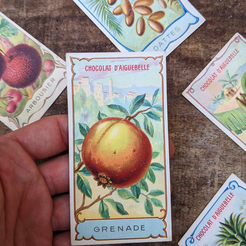 Chromo "Fruits" Chocolats d'Aiguebelle 1900