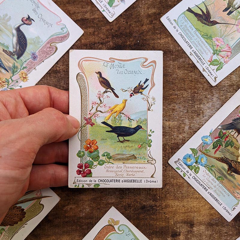 Chromo "Oiseaux" Chocolats d'Aiguebelle 1900