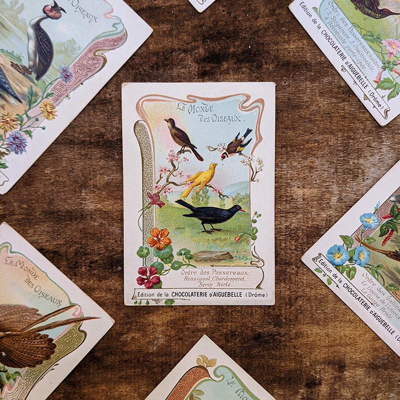 Chromo "Oiseaux" Chocolats d'Aiguebelle 1900