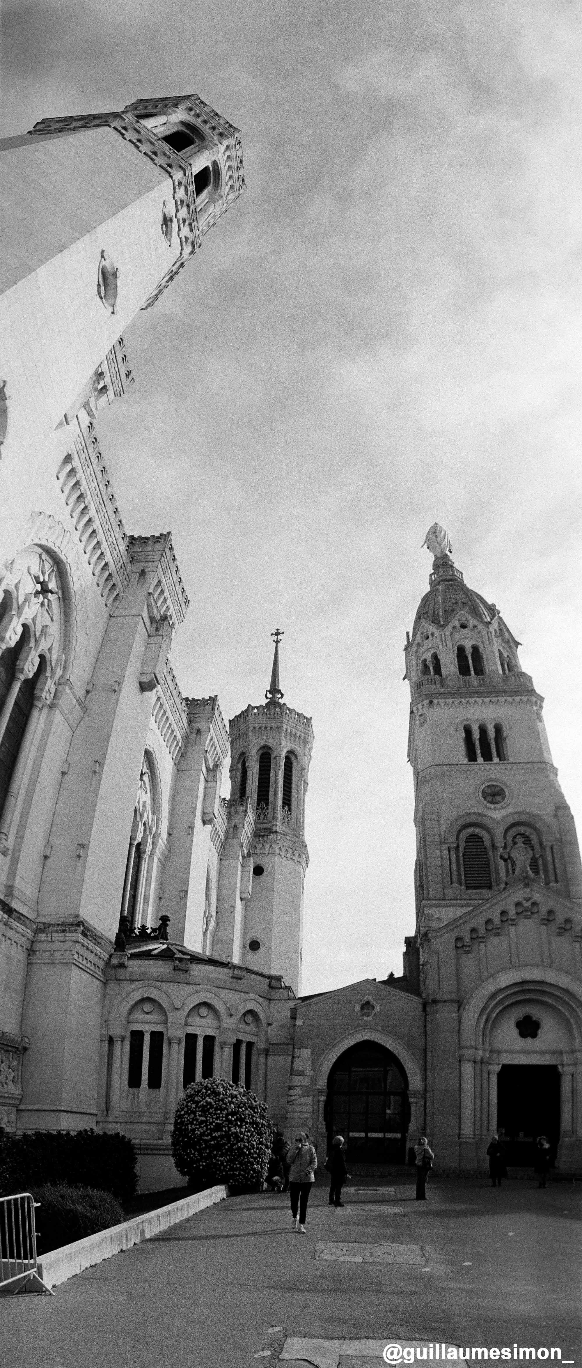 cinestill bwxx film 35mm cs pellicule argentique 135 noir et blanc double x