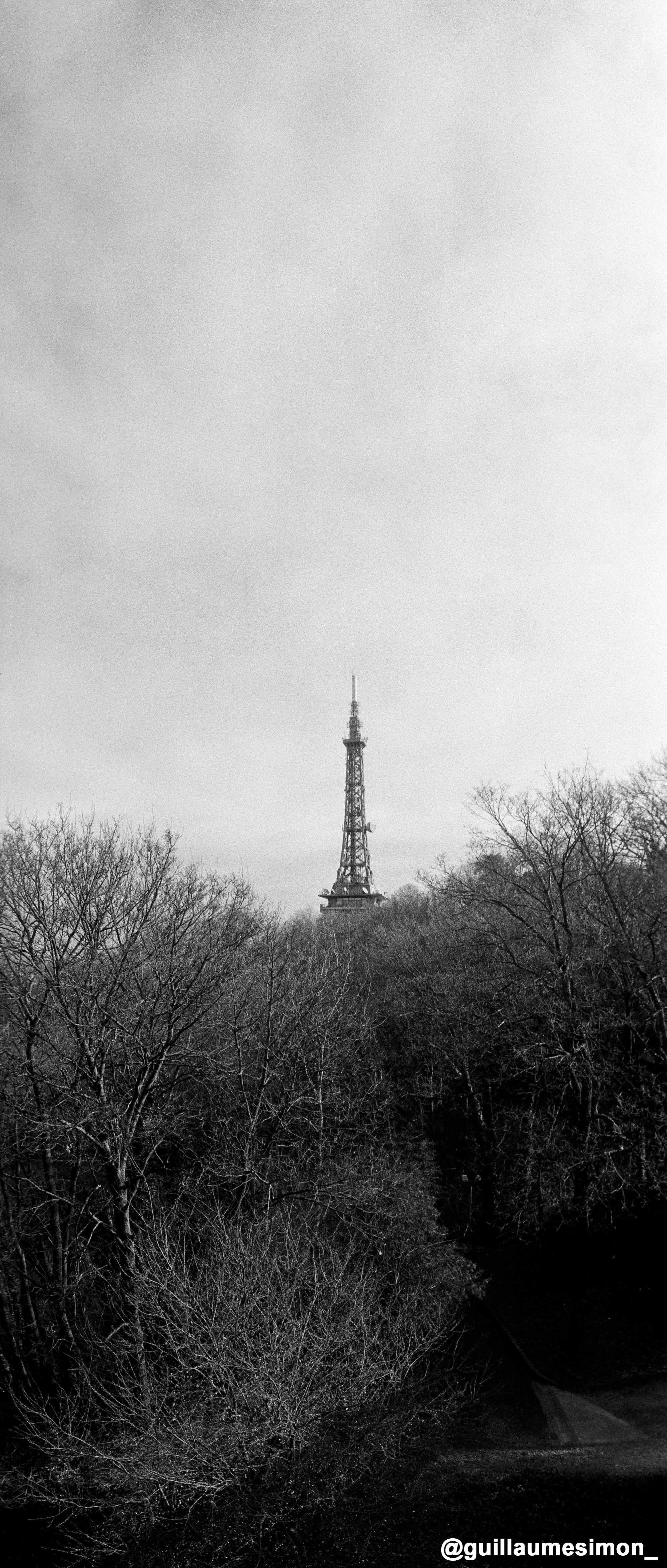 cinestill bwxx film 35mm cs pellicule argentique 135 noir et blanc double x