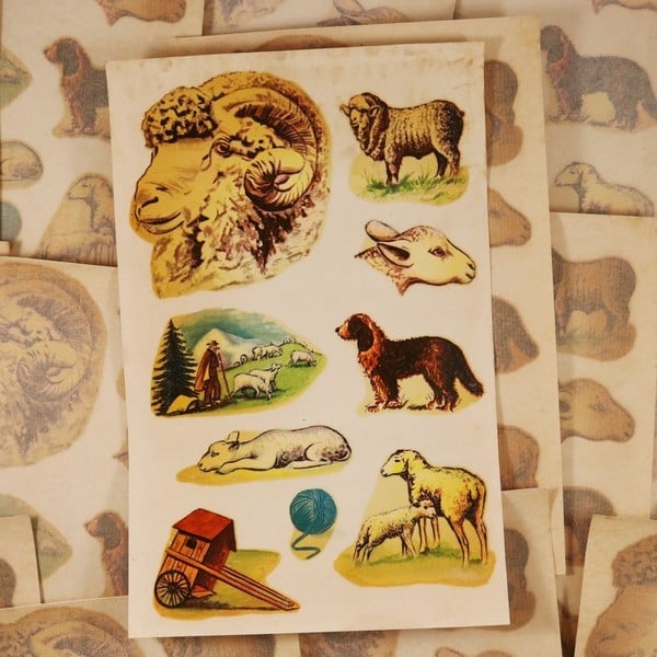 Décalcomanie Mouton & Bélier n°8