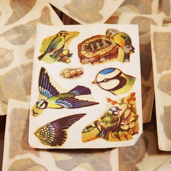 Bird & Nest Decal #11