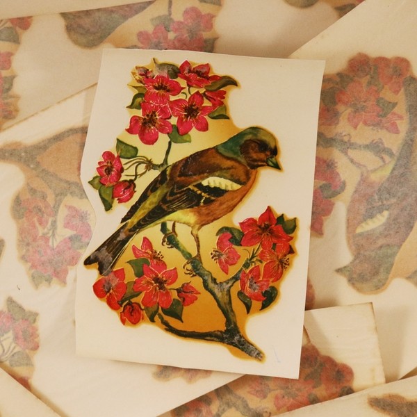 Bird & Roses Decal #10