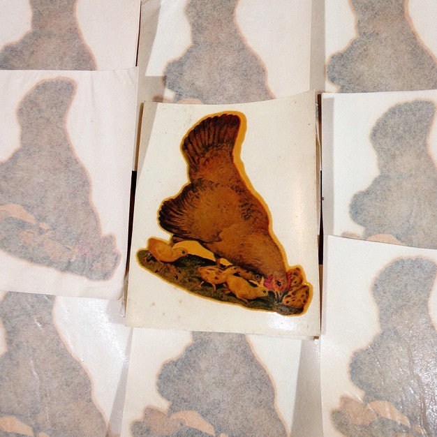 Hen and Chicks Decal No. 53