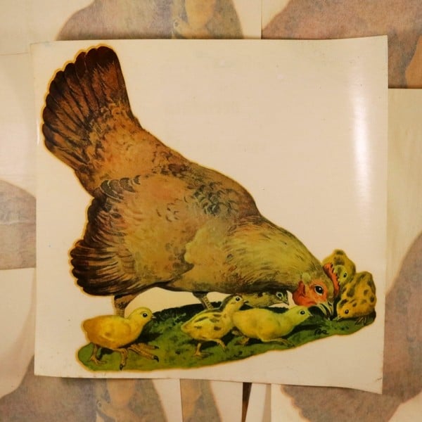 Décalcomanie Poule & Poussins n°15