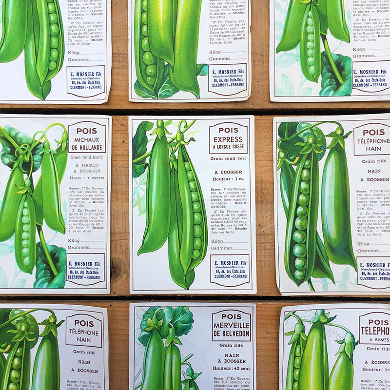 étiquette ancien ancienne légume graine pois graines légumes 1950 illustration