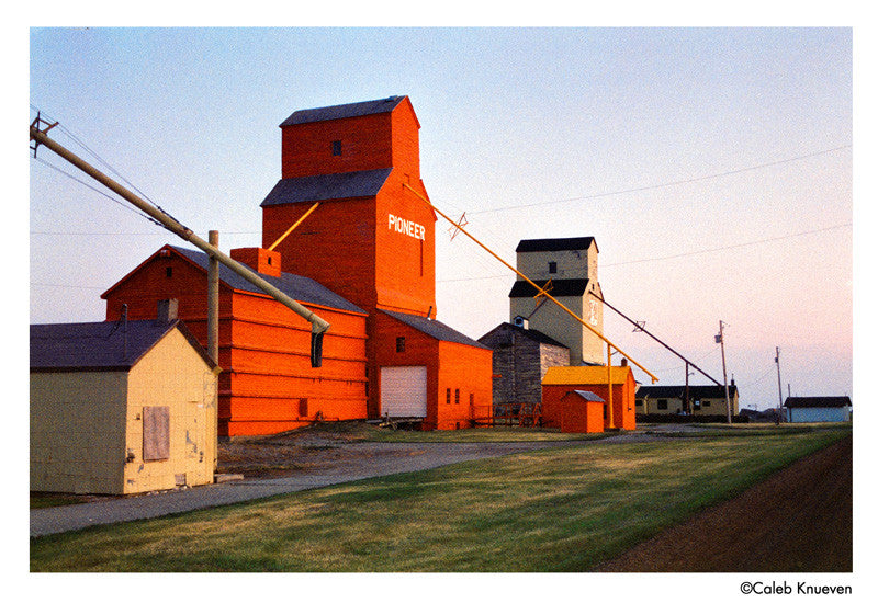 Harman Phoenix pellicule argentique couleur 35mm 200 iso film photographie