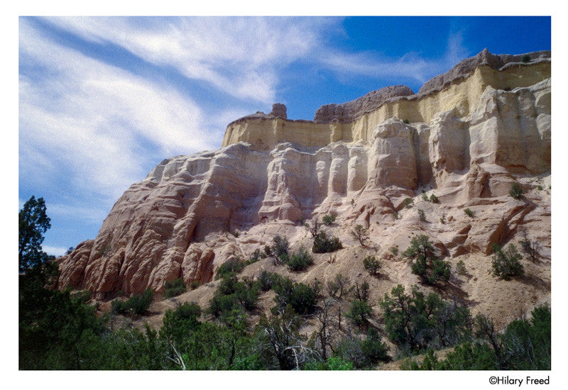 Harman Phoenix pellicule argentique couleur 35mm 200 iso film photographie