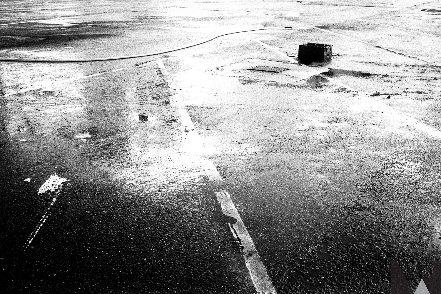 delta 100 ilford 35mm 36 poses 135 pellicule argentique noir et blanc test photo exemple