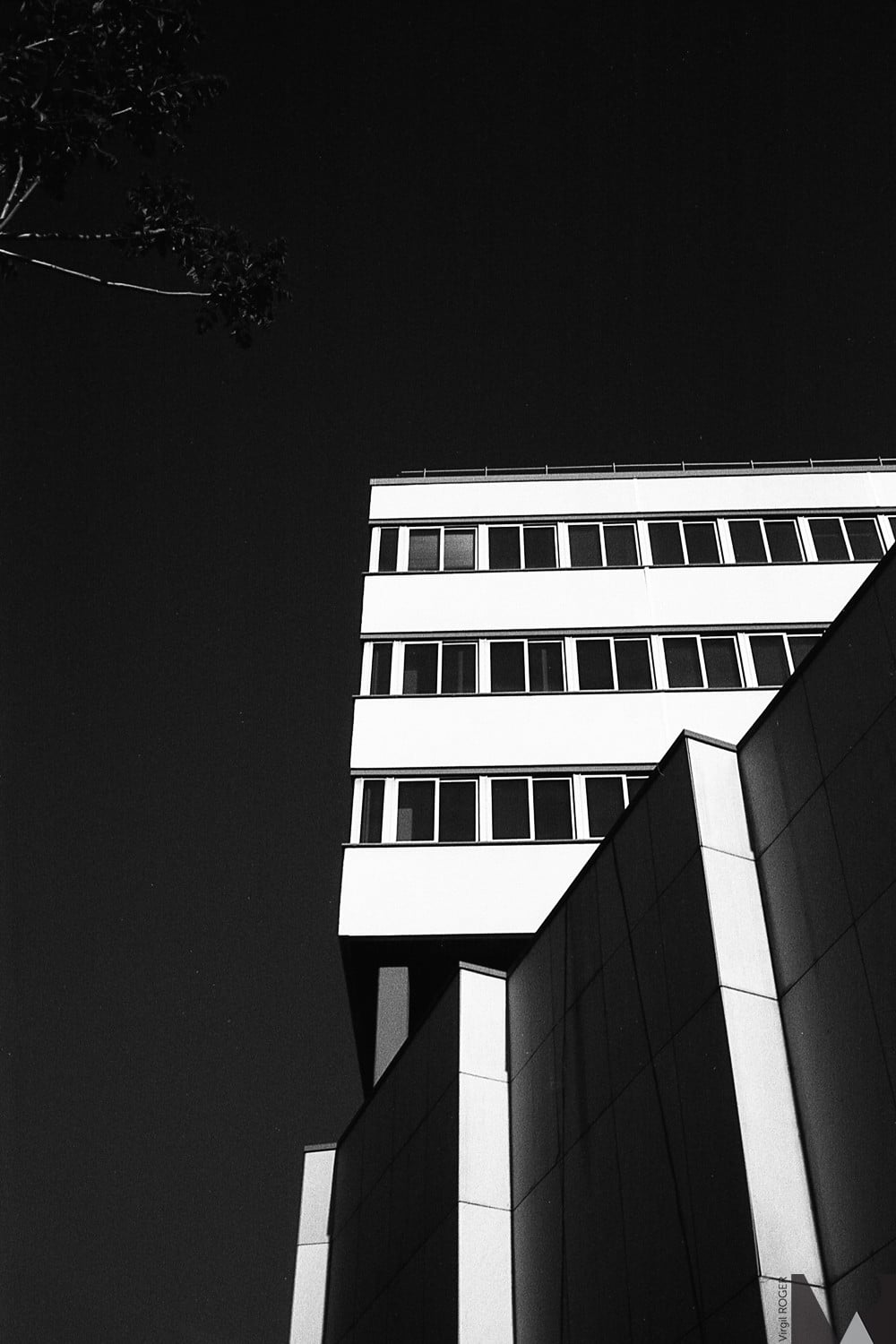 ilford pan f plus 50 120 film pellicule moyen format noir et blanc test rendu photo exemple image