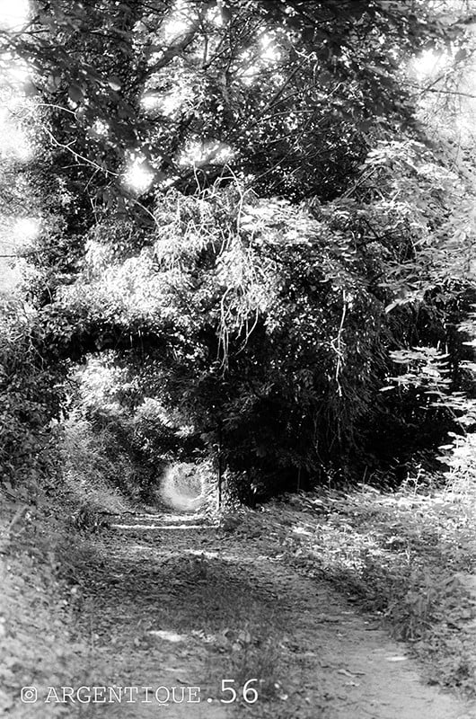 kentmere pan 200 pellicule argentique 35mm 24x36 135 noir et blanc 200 iso film