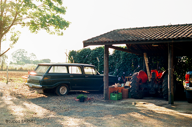 pellicule 35mm ektar 100 kodak iso 100 135 couleur arentique photographie