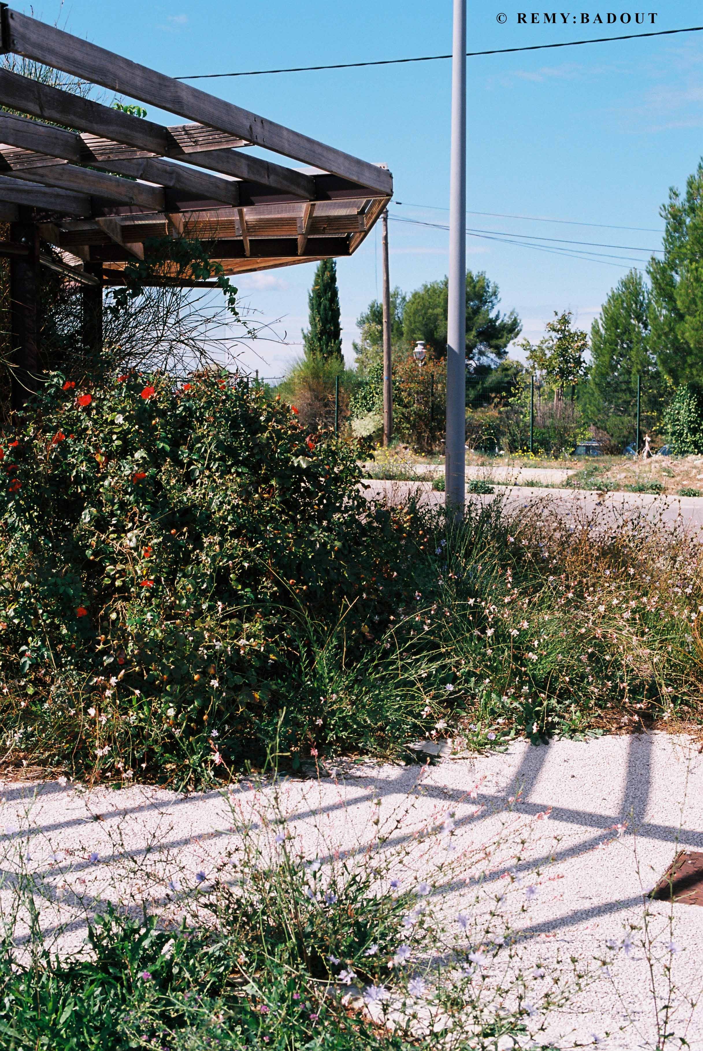 pellicule 35mm ektar 100 kodak iso 100 135 couleur arentique photographie