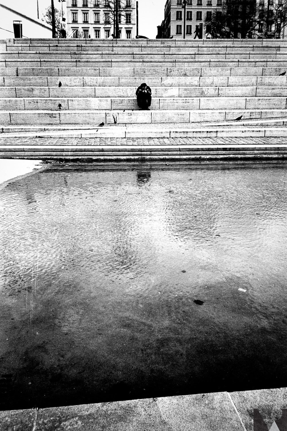 kodak t-max 400 film noir et blanc grain fin argentique exemple photo test rendu image