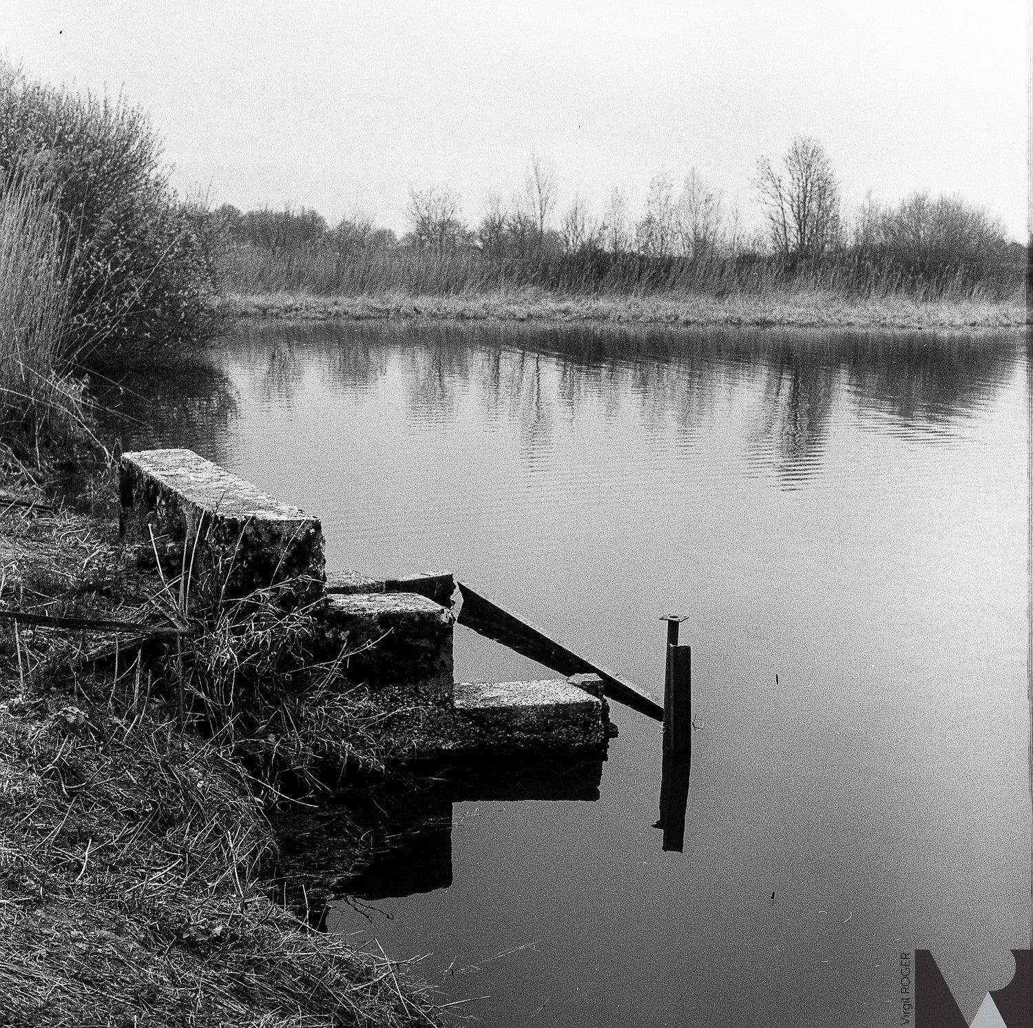 kodak tri-x 400 film pellicule argentique noir et blanc rendu test photo exemple image