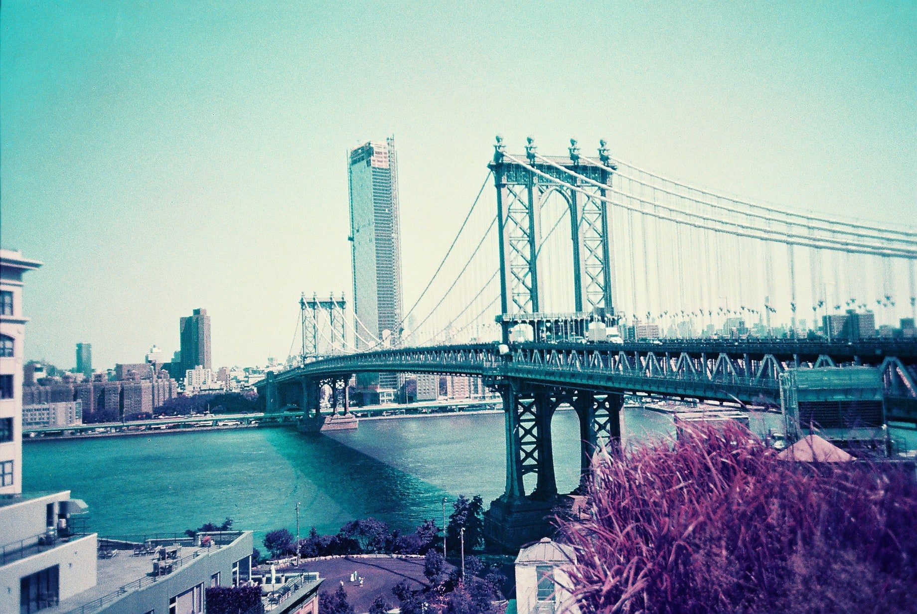 lomography purple lomochrome 100 400 XR120 couleur négatif argentique