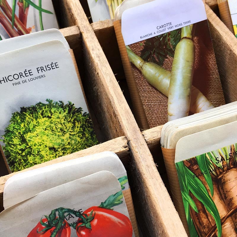 sachet graines légumes E. Mosnier Fils ancien vintage 1950 1980