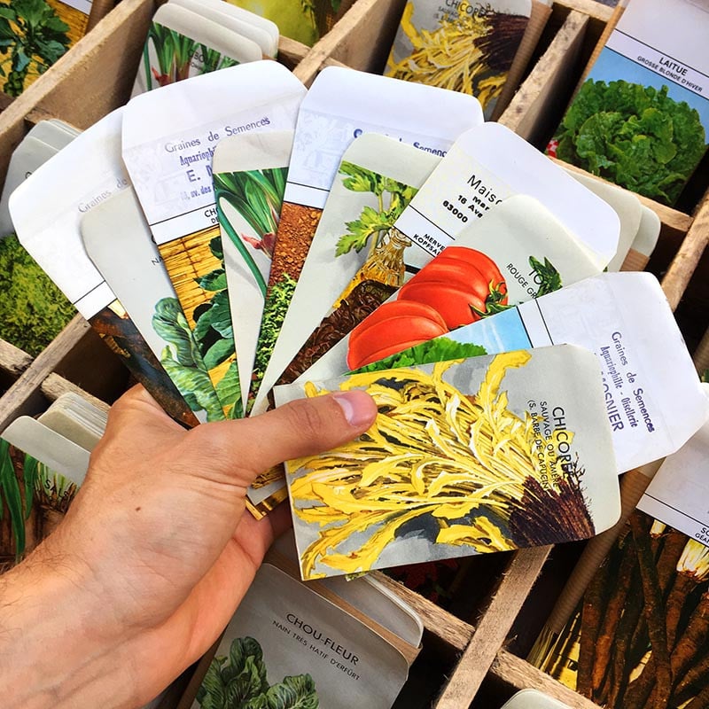 sachet graines légumes E. Mosnier Fils ancien vintage 1950 1980