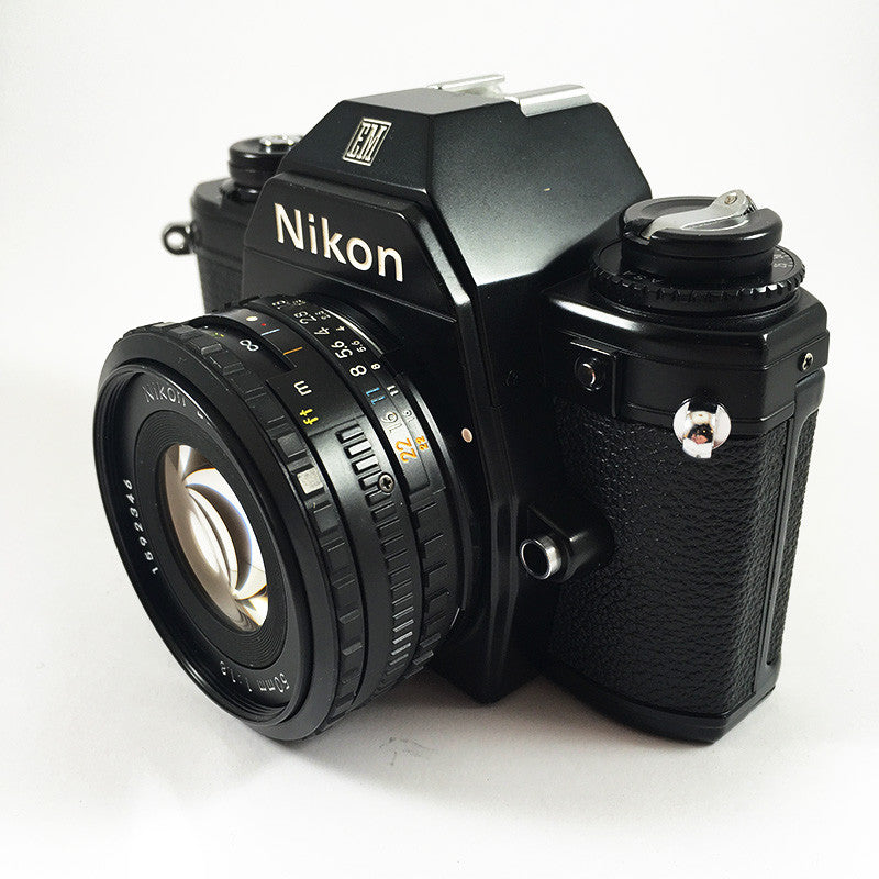 Nikon EM & Series E 50mm 1.8
