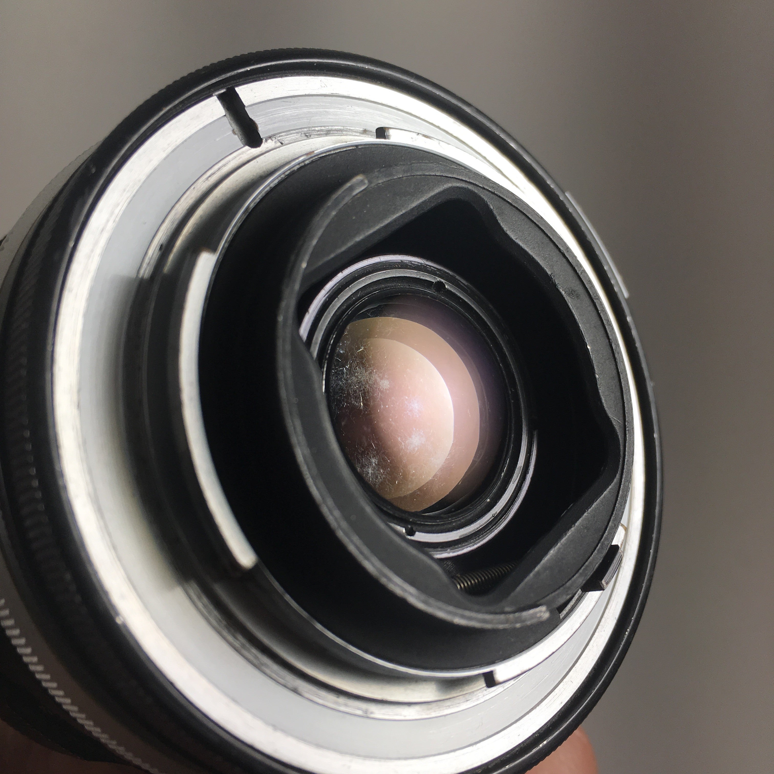 Nikon Nikkormat EL & Micro-Nikkor 55mm 1:3.5