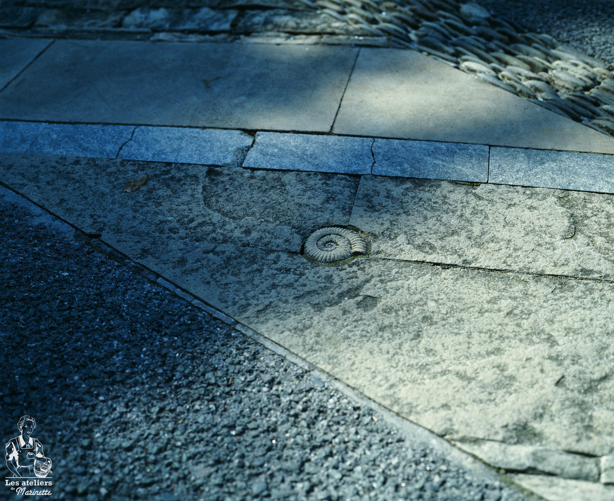 pellicule argentique kodak ektachrome e100 iso 100 diapositive diapo photo exemple exemples 120 moyen format test