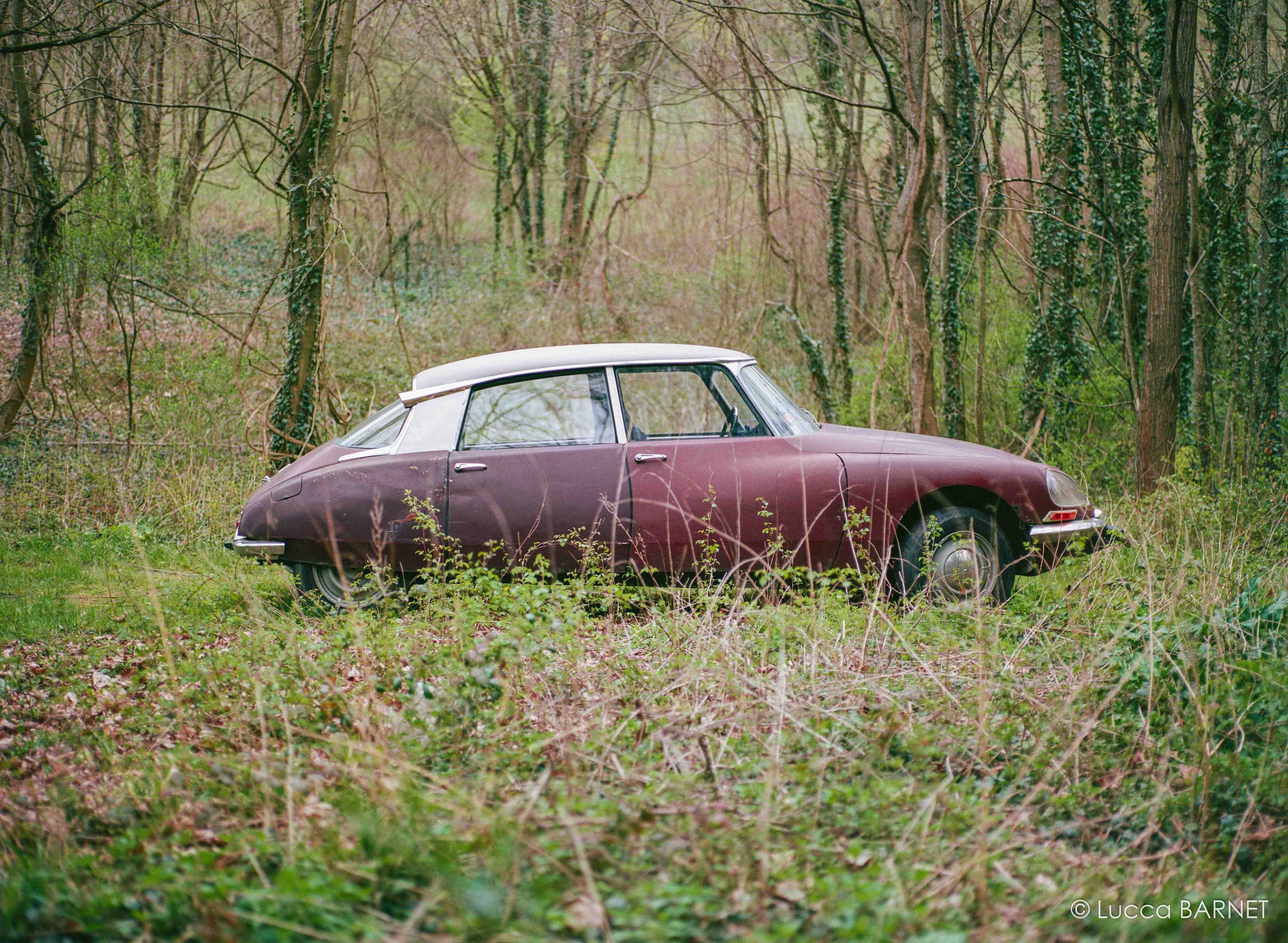pack 5 portra 400 120 kodak couleur négatif moyen format