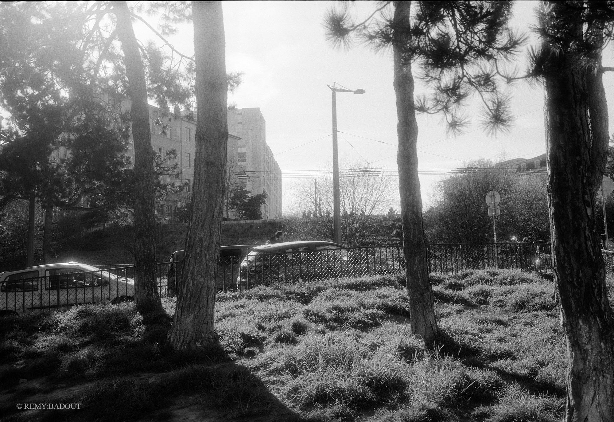 kodak t-max 100 film 120 noir et blanc bobine rouleau moyen format exemple rendu test photo essai