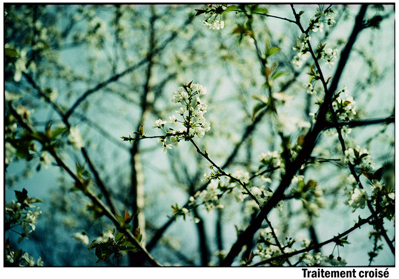 pellicule 220 film pack 5 velvia 50 moyen format diapo diapositive positif 6 6 fujifilm 120 fuji périmé 2009