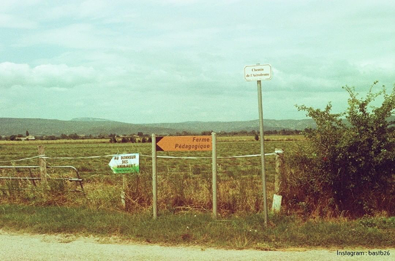 Périmée: Solaris 100 35mm 12