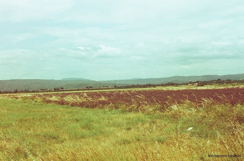 Périmée: Solaris 100 35mm 12