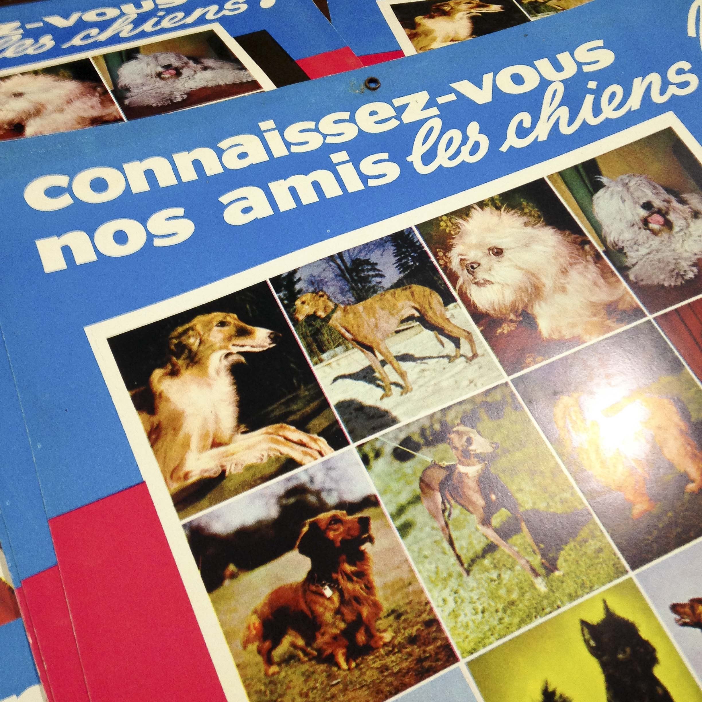 poster affiche gros jean crème gruyère vache chien ancien vintage carton épicerie 1970