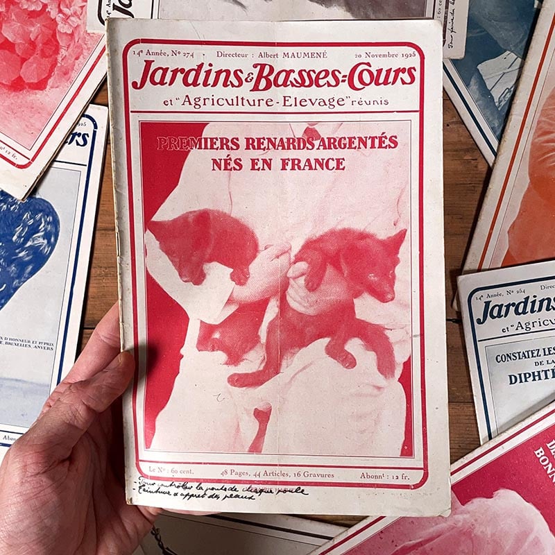 journal revue jardins et basses-cours campagne jardinage ancien vintage papier illustration exemplaire numéro 1920 1925 1929