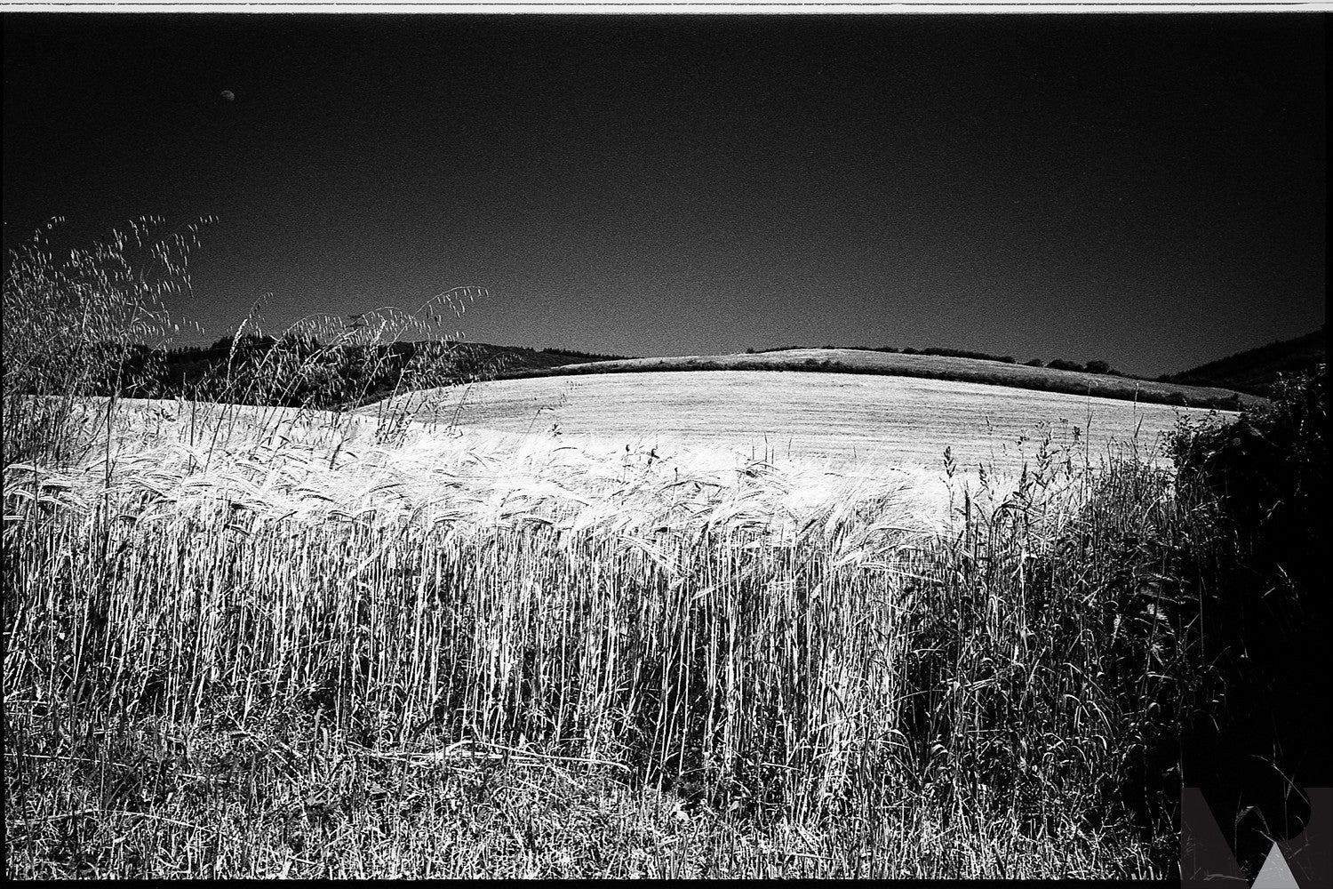 rollei retro 400s argentique pellicule noir et blanc exemple photo rendu test image