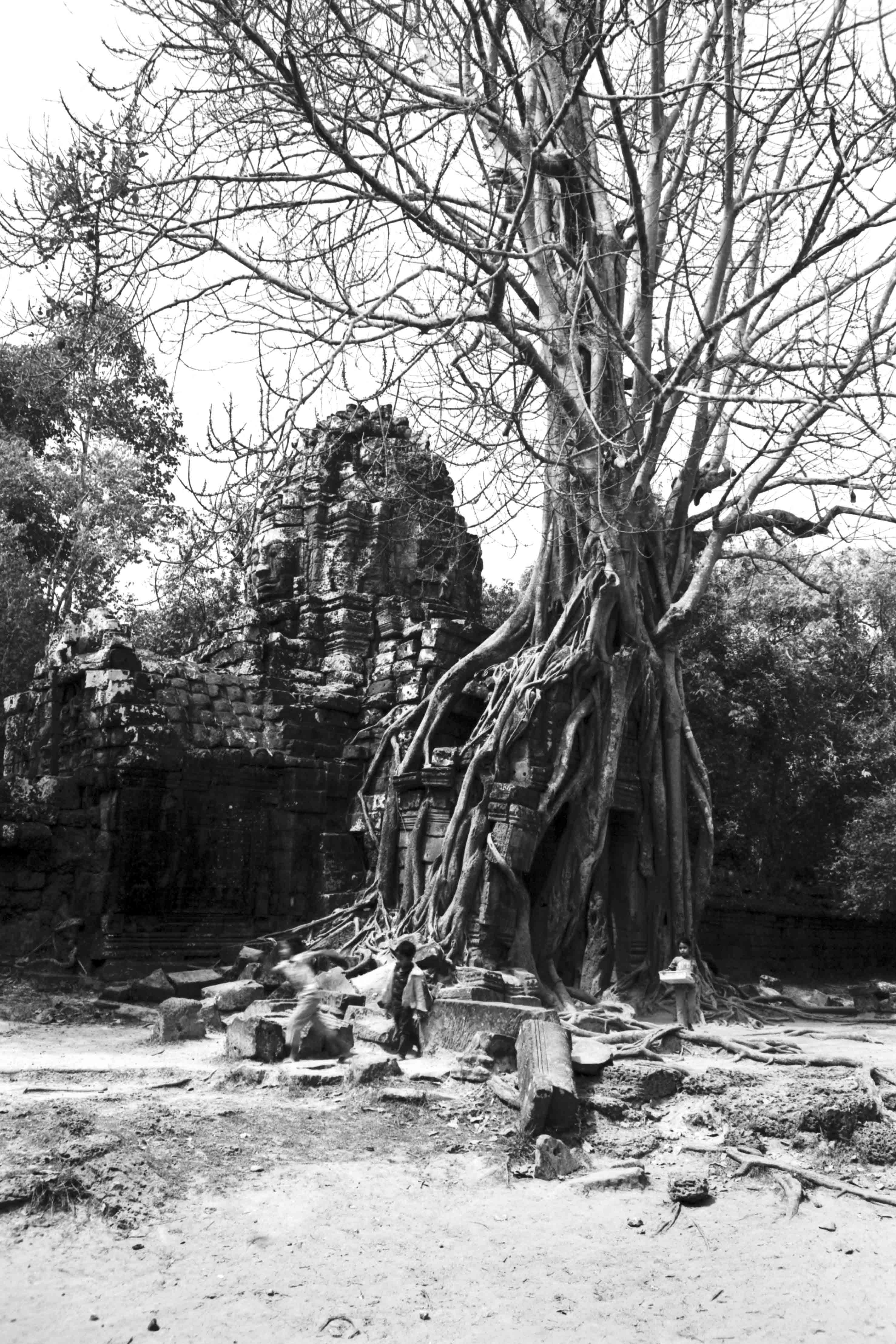 Rollei Retro 80s 80 35mm 135 36 pellicule argentique noir et blanc film exemple test essai