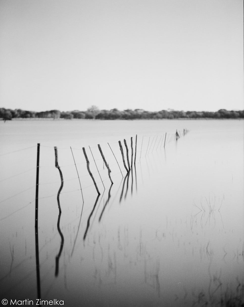 Rollei RPX 100 - 120