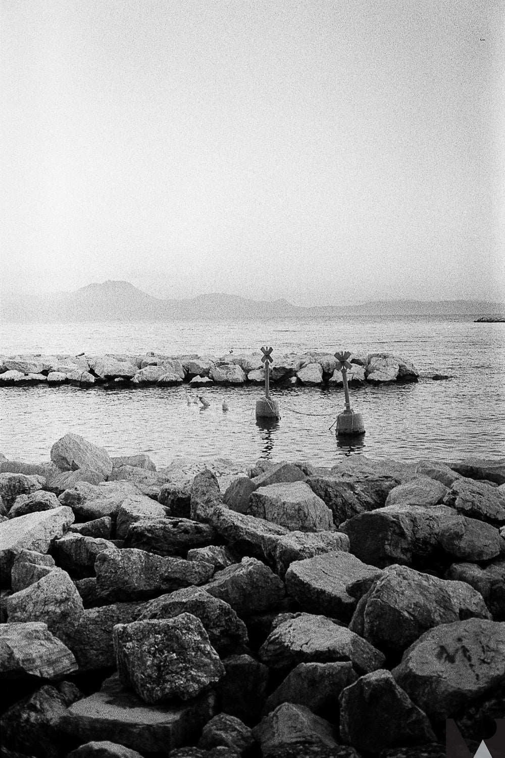 Rollei RPX 400 pellicule argentique noir et blanc film test rendu exemple photo image