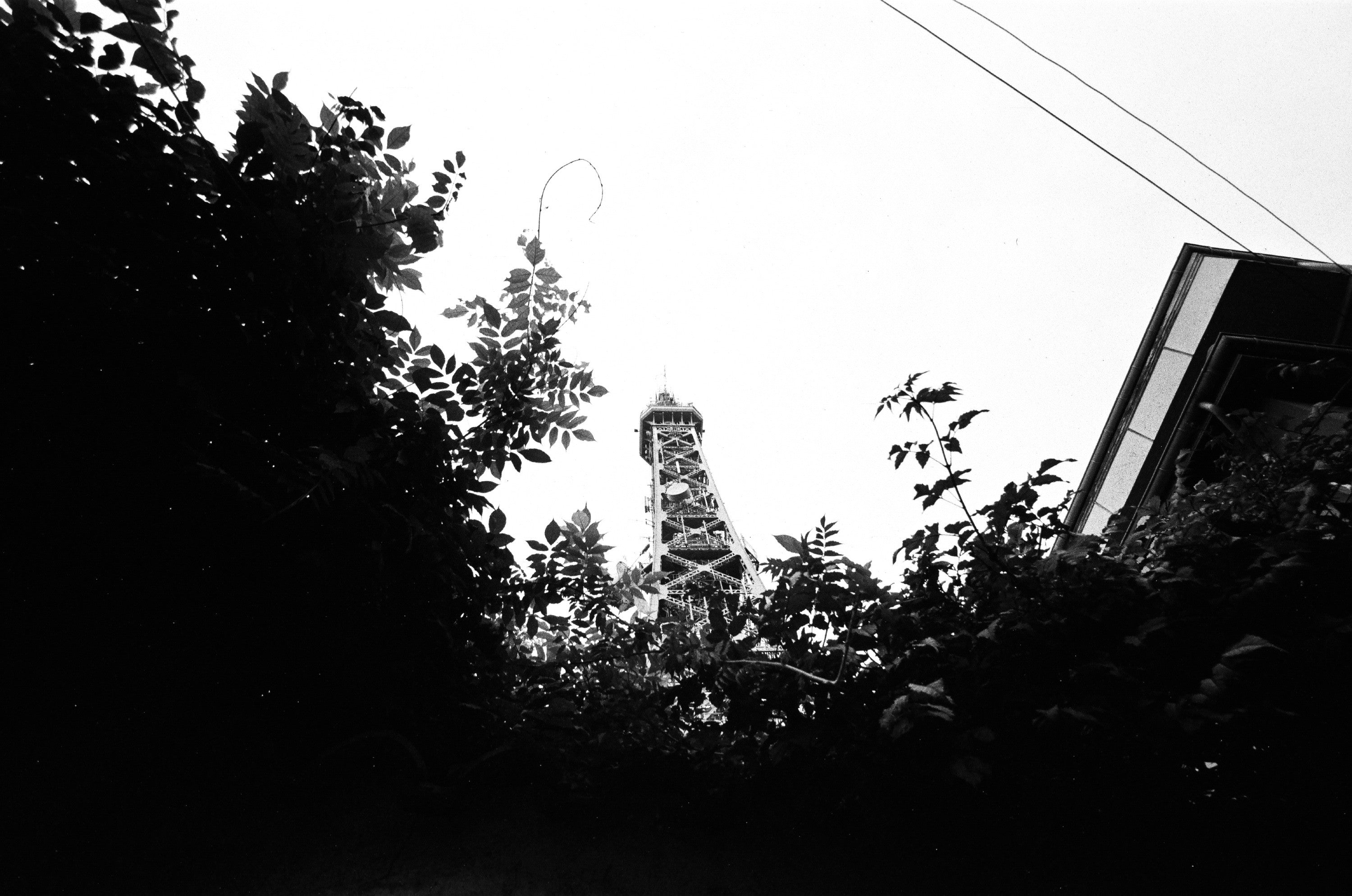 shanghai gp3 100 35mm 135 pellicule argentique noir et blanc